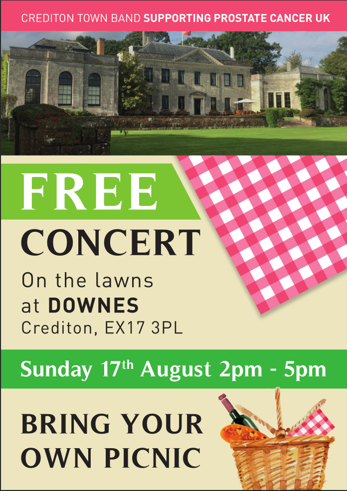 Poster for Picnic Concert